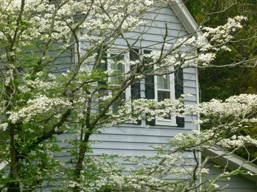 Click to See Next Image