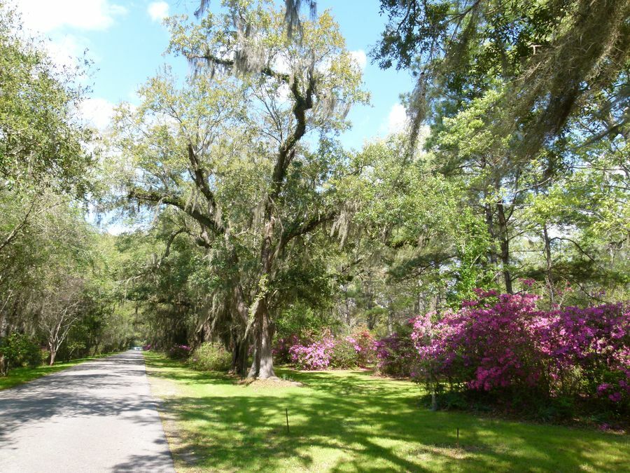 Click to See Next Image