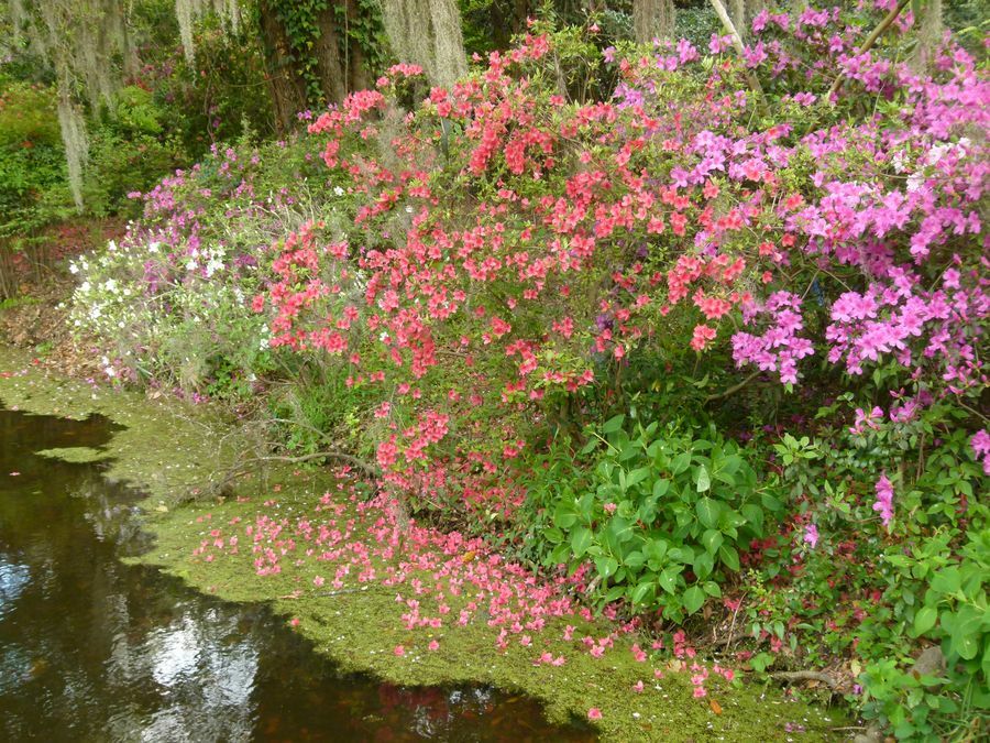 Click to See Next Image