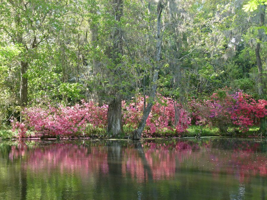 Click to See Next Image