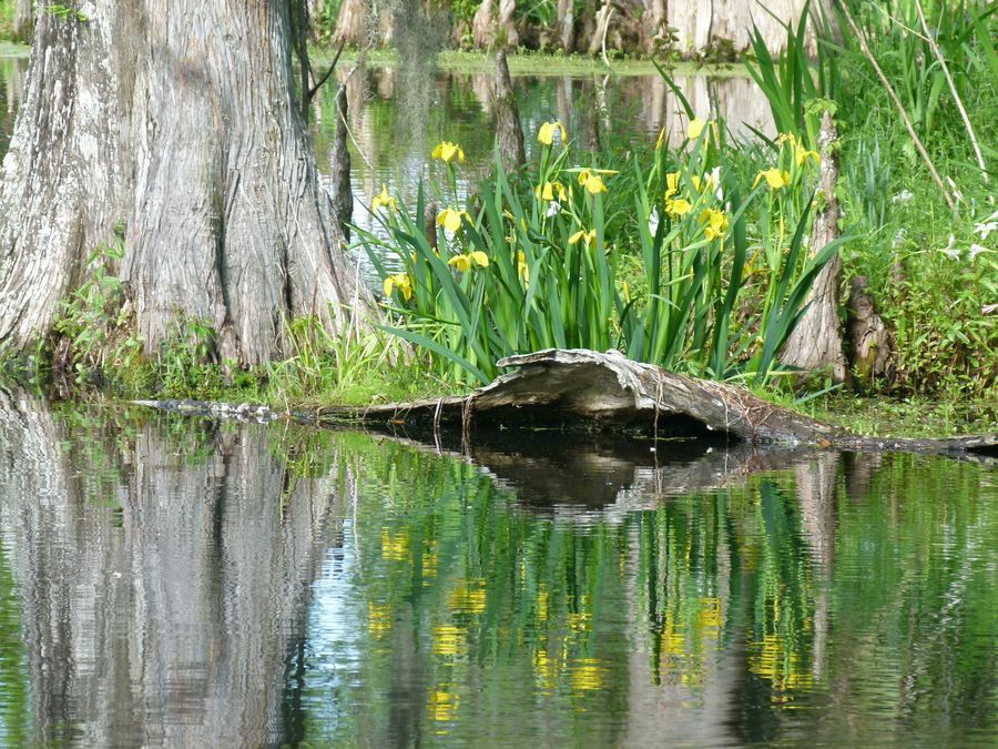 Click to See Next Image