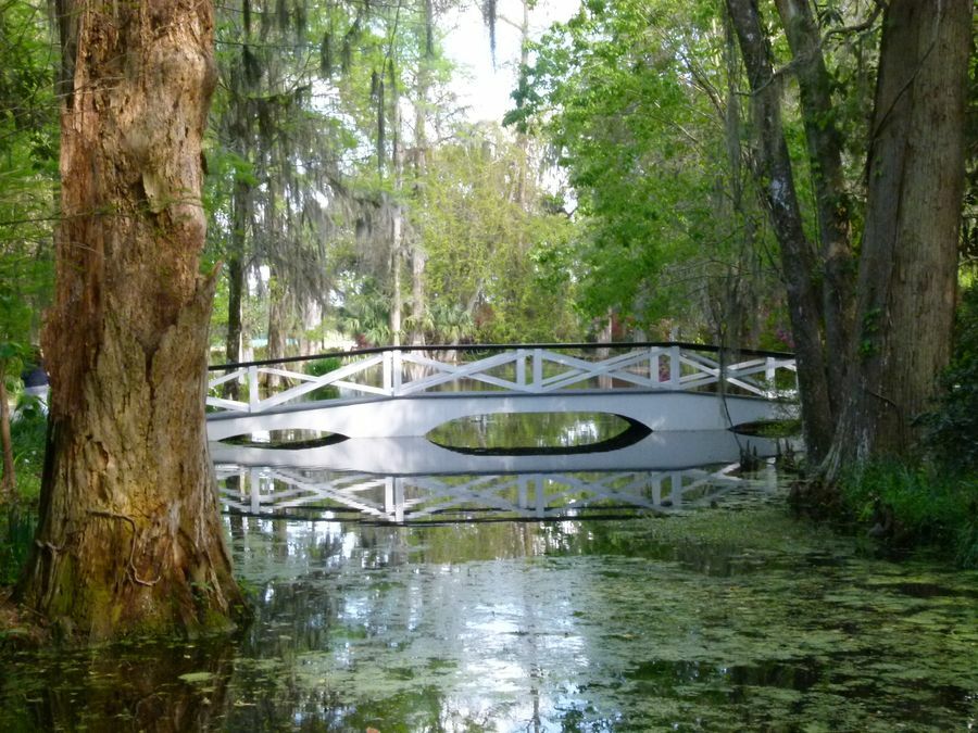 Click to See Next Image