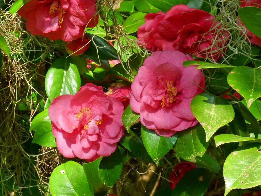 Click to See Next Image