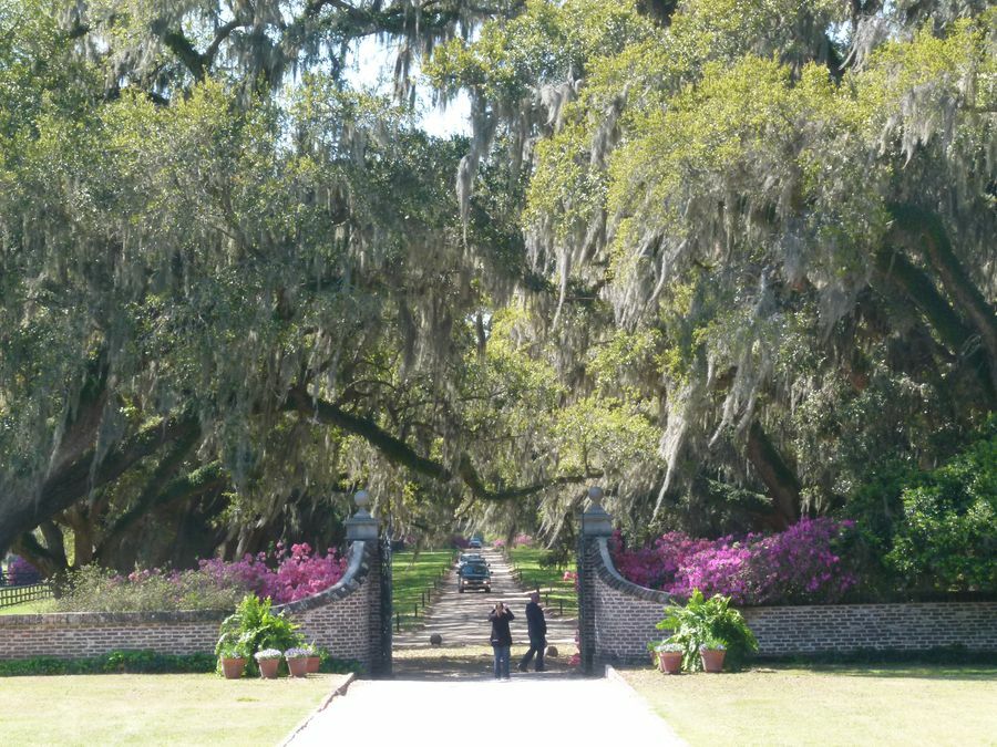 Click to See Next Image