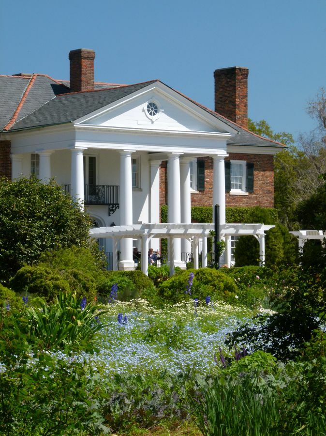 Click to See Next Image