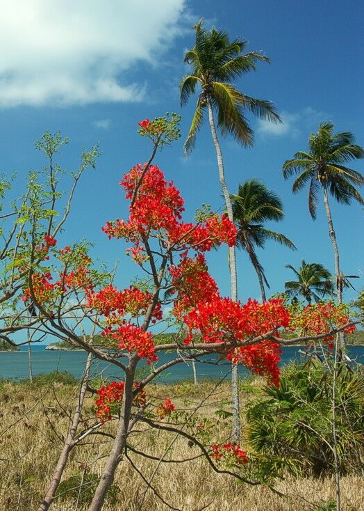 Click to See Next Image