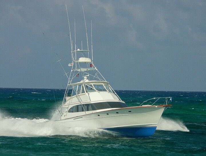 Click to See Next Image