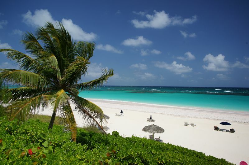 Click to See Next Image