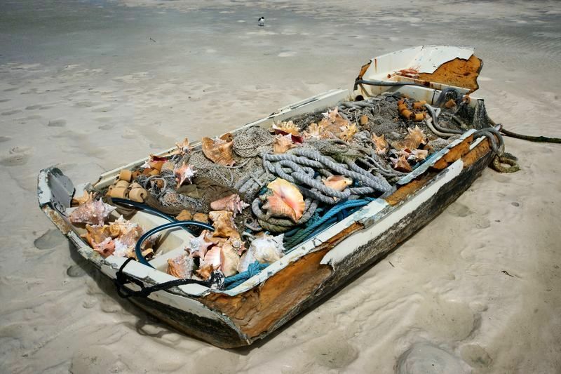 Click to See Next Image