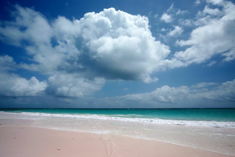 Click to See Next Image