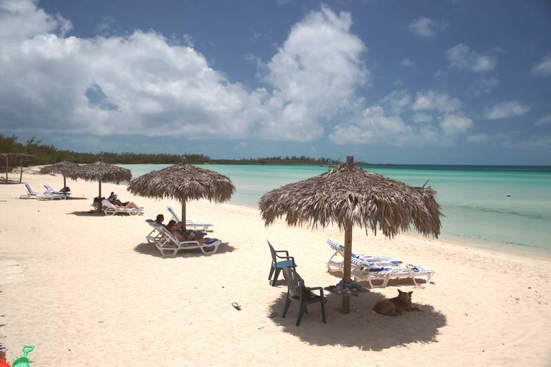 Click to See Next Image