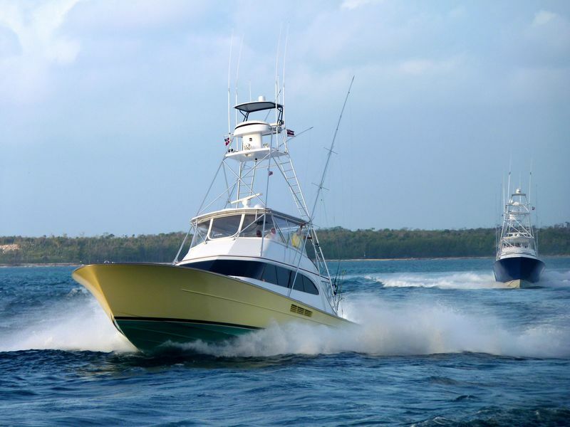 Click to See Next Image