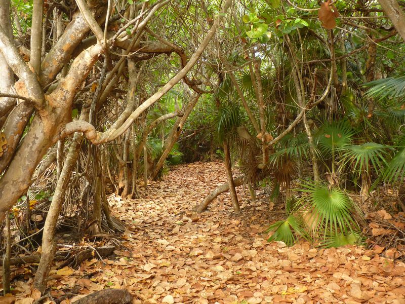 Click to See Next Image