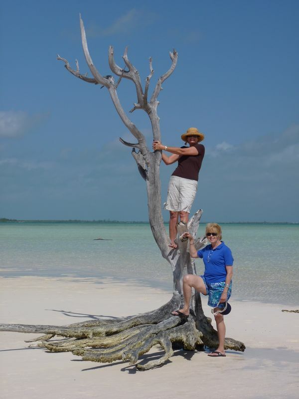 Click to See Next Image