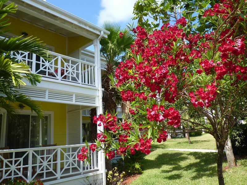 Click to See Next Image