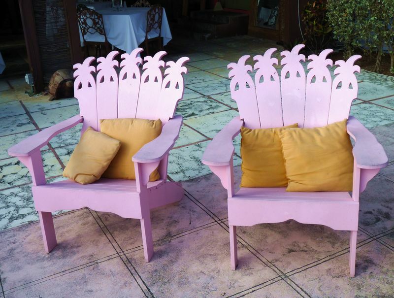 Click to See Next Image