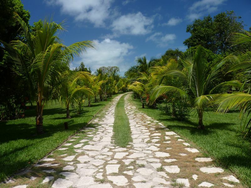 Click to See Next Image