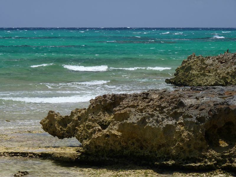 Click to See Next Image