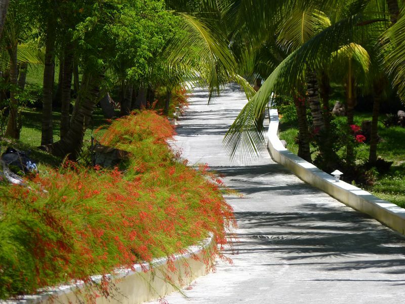 Click to See Next Image