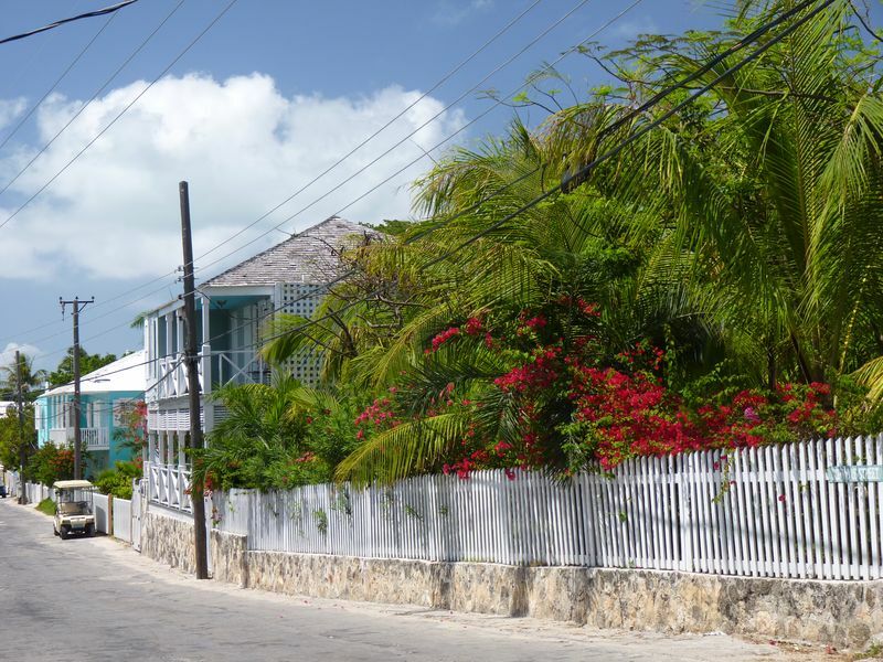 Click to See Next Image