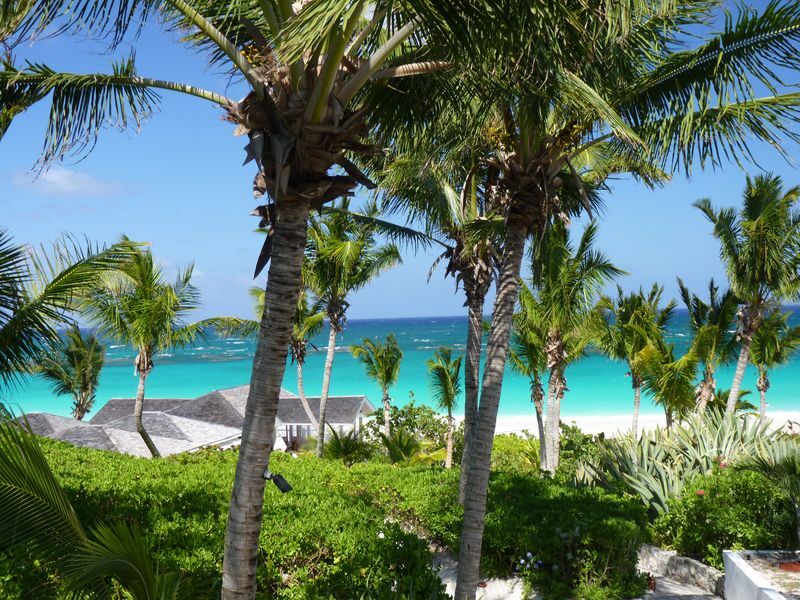 Click to See Next Image