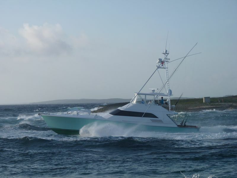 Click to See Next Image