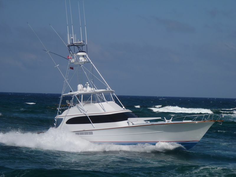 Click to See Next Image