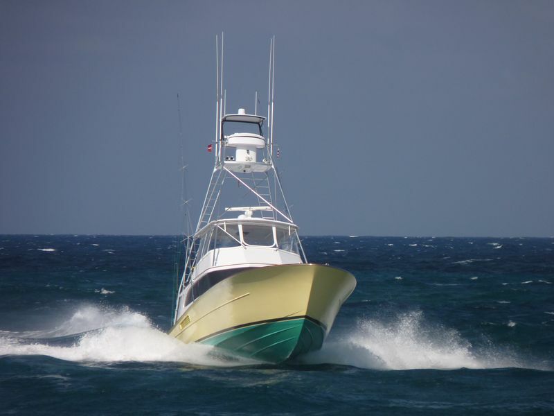 Click to See Next Image