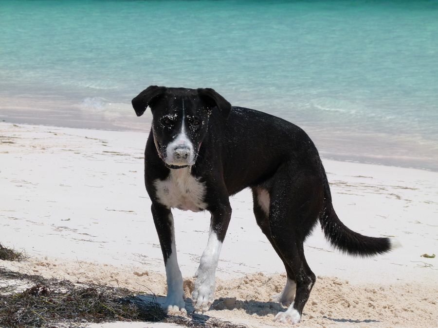 Click to See Next Image