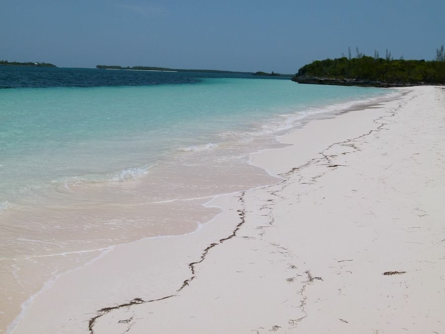 Click to See Next Image