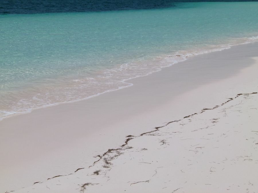 Click to See Next Image