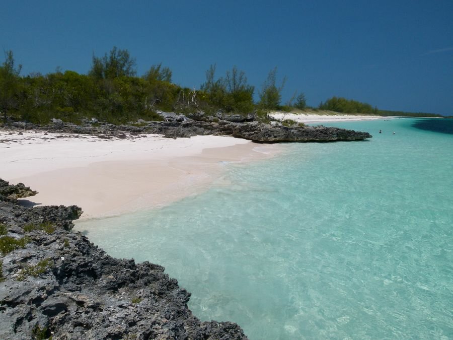 Click to See Next Image