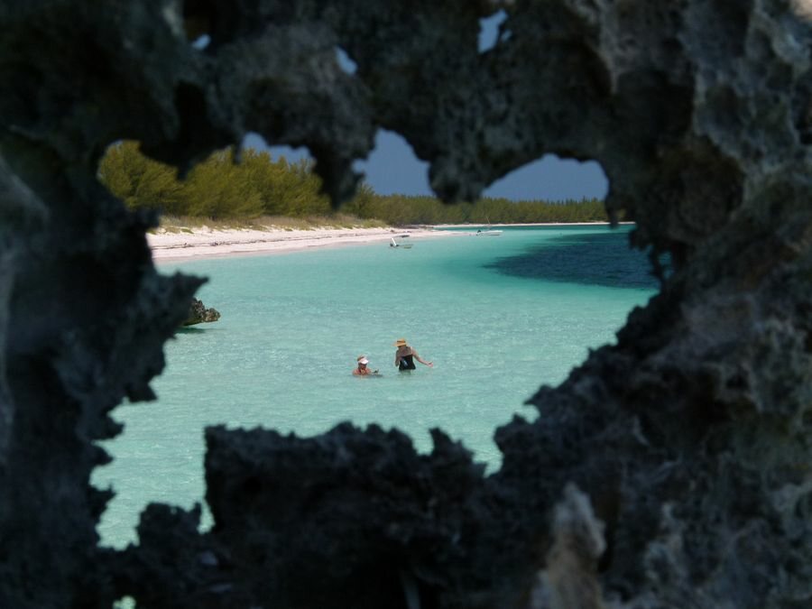 Click to See Next Image