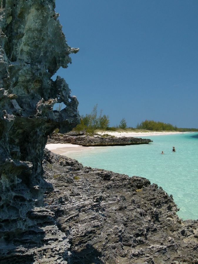 Click to See Next Image