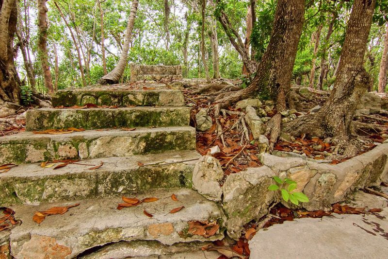 Click to See Next Image