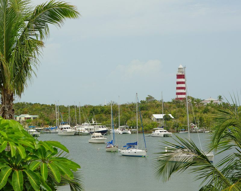 Click to See Next Image