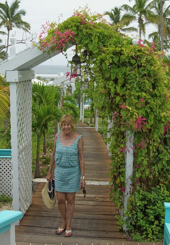 Click to See Next Image