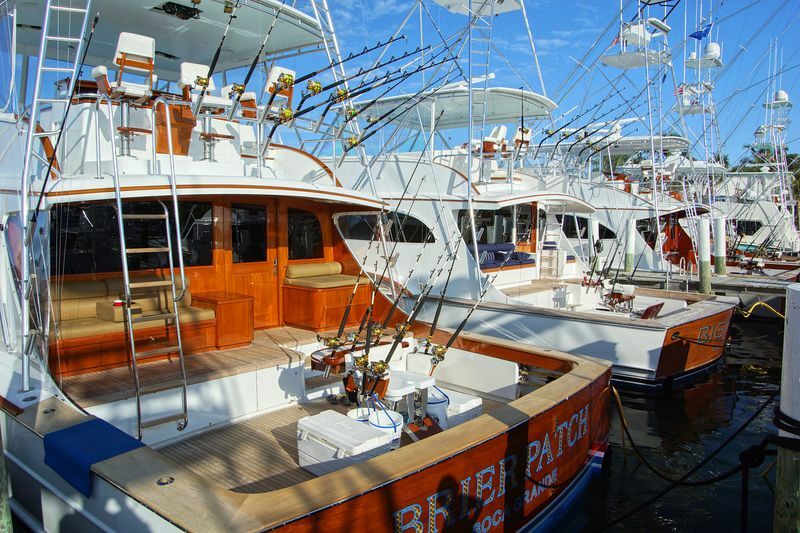 Click to See Next Image