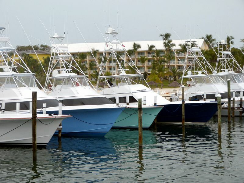 Click to See Next Image