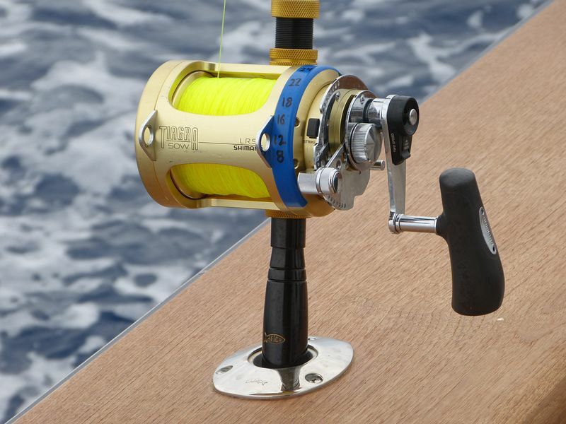 Click to See Next Image