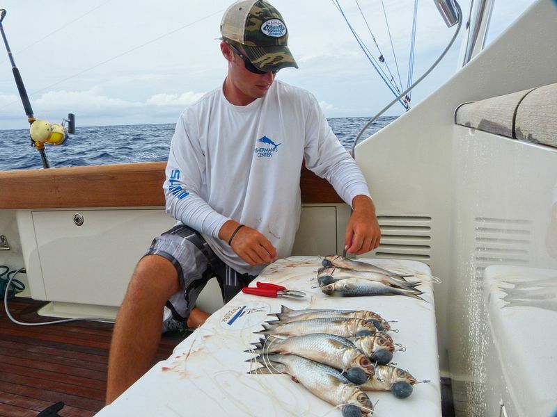 Click to See Next Image