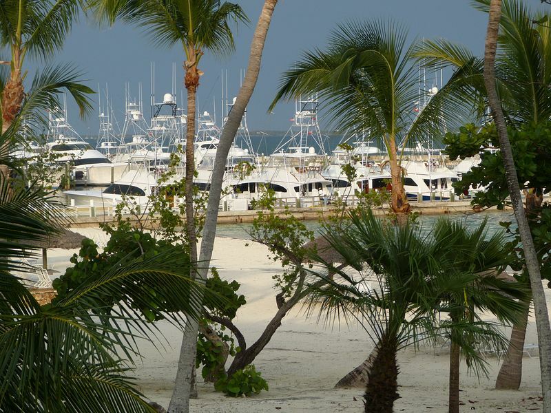 Click to See Next Image