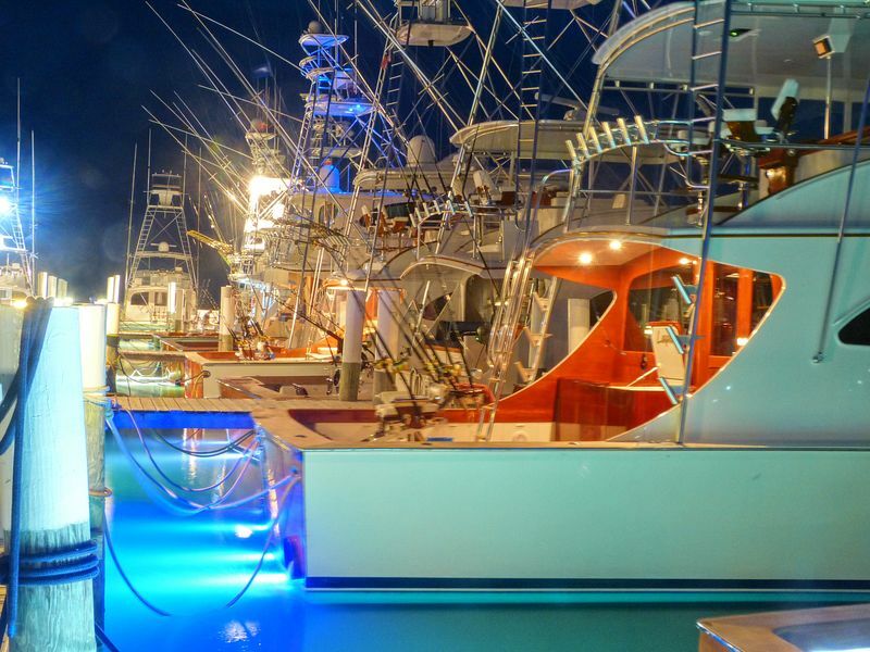 Click to See Next Image