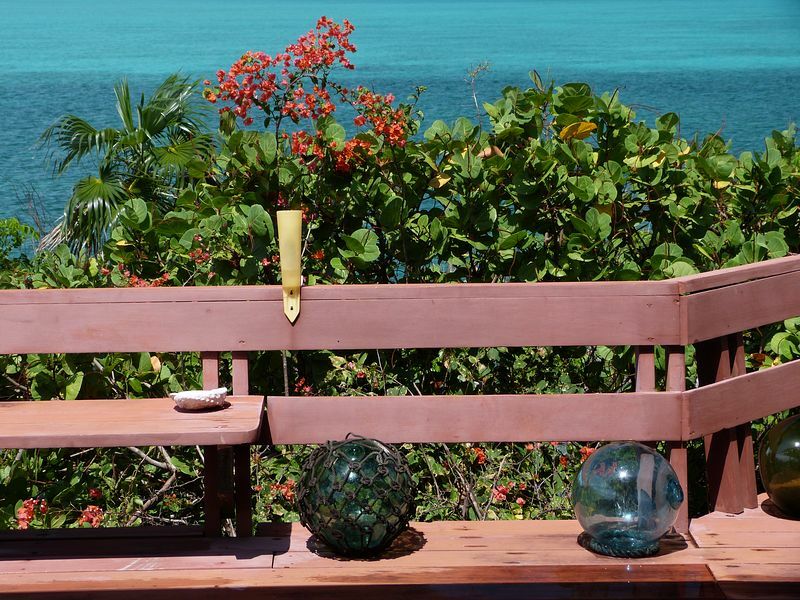 Click to See Next Image