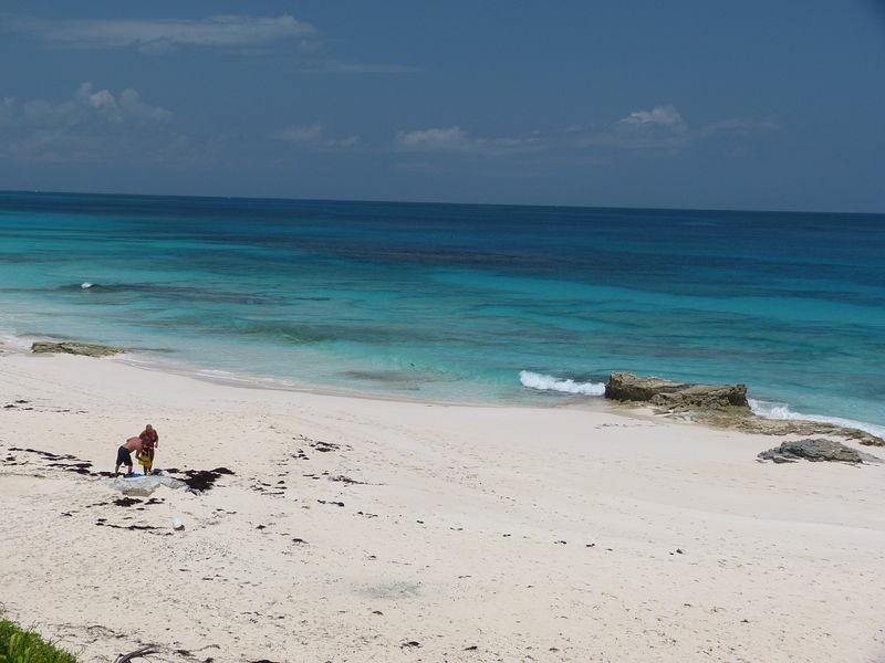 Click to See Next Image