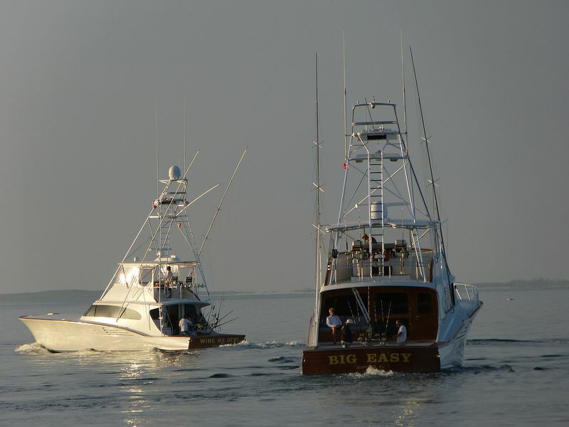 Click to See Next Image