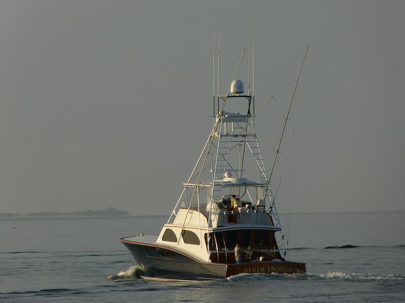 Click to See Next Image