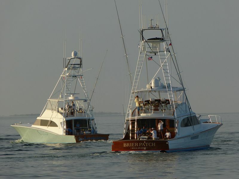 Click to See Next Image