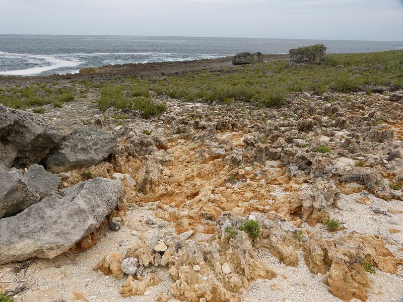 Click to See Next Image