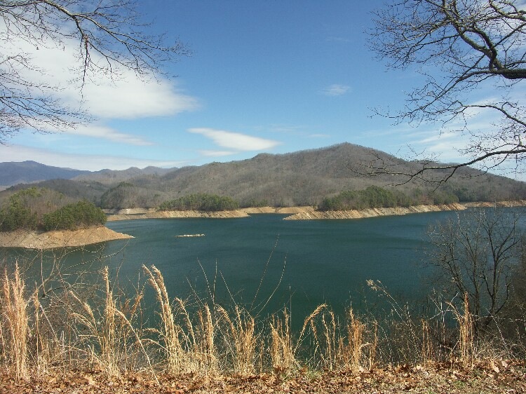 Click to See Next Image